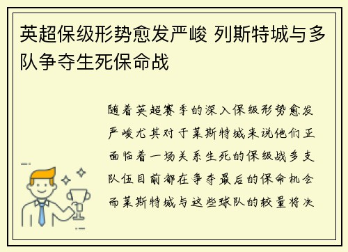 英超保级形势愈发严峻 列斯特城与多队争夺生死保命战