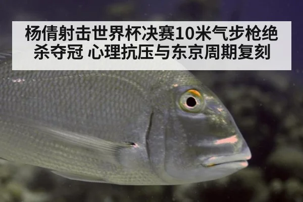 杨倩射击世界杯决赛10米气步枪绝杀夺冠 心理抗压与东京周期复刻